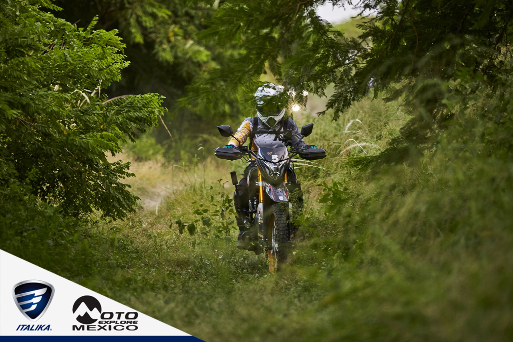 ITALIKA CHACHALACAS D1 381